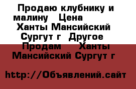 Продаю клубнику и малину › Цена ­ 1 600 - Ханты-Мансийский, Сургут г. Другое » Продам   . Ханты-Мансийский,Сургут г.